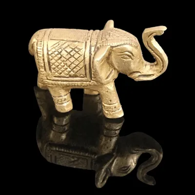 Brass Elephant 150 gram hover