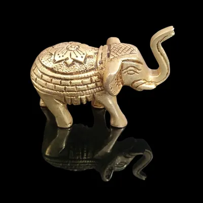 Brass Elephant 300 gram hover